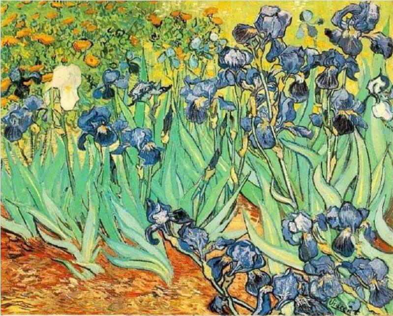 Le migliori foto Pittura a olio digitale fai-da-te Dipingi con i numeri Regalo unico di compleanno di Natale Cielo stellato di Van Gogh del fiume Rodano