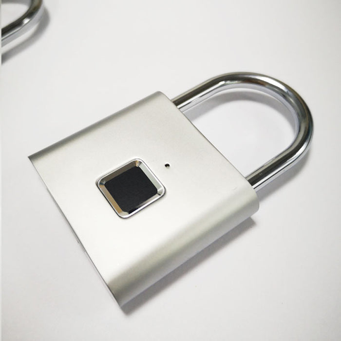 Electronic fingerprint lock